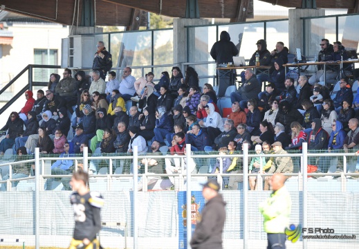 2024-03-24 - Borgaretto (TO) - Giaguari Torino vs Skorpions Varese - 032