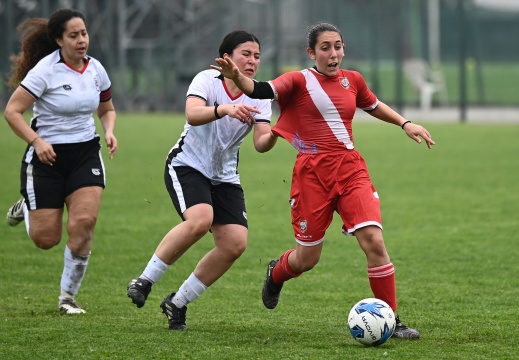 Calcio
